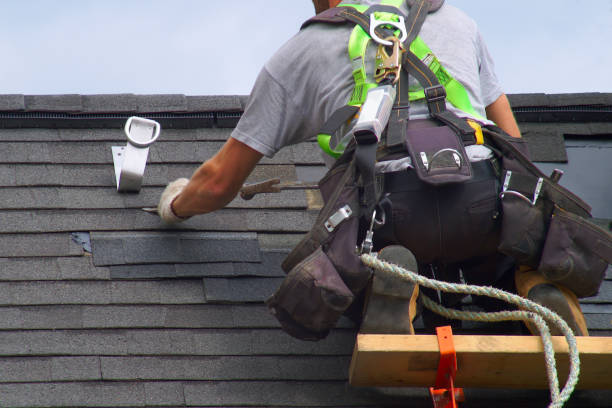 Best Roof Repair Services  in Collinsvle, IL