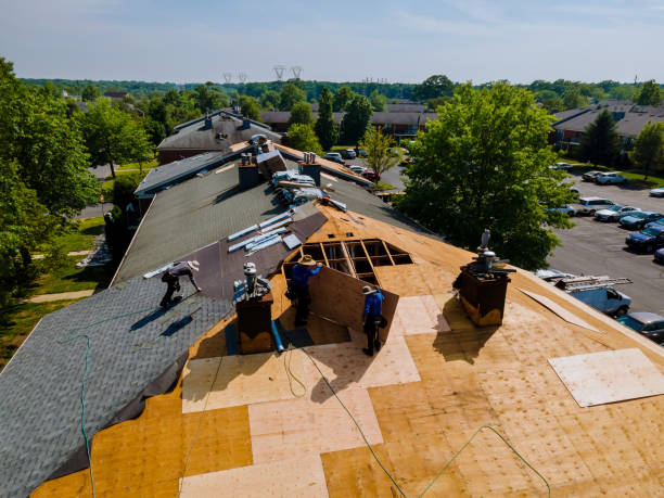 Best Best Roofing Contractors  in Collinsvle, IL