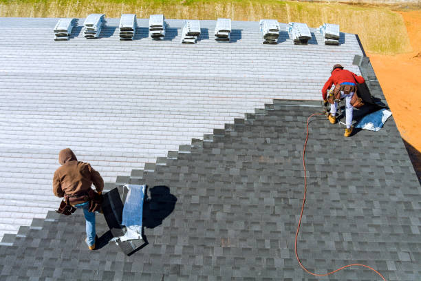 Best Roof Gutter Cleaning  in Collinsvle, IL
