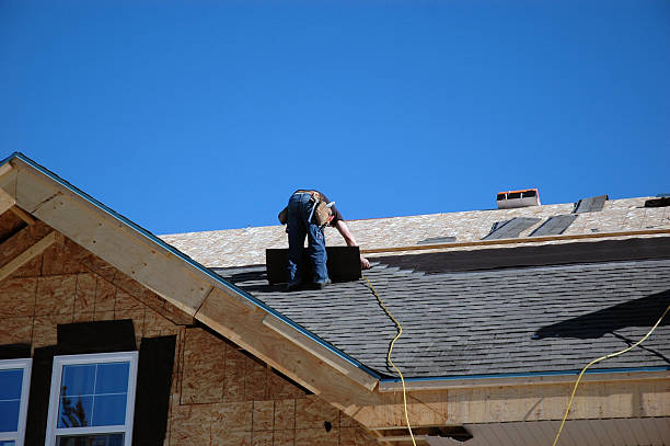 Best Roof Maintenance Services  in Collinsvle, IL