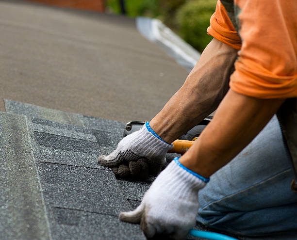 Best Metal Roofing Contractor  in Collinsvle, IL
