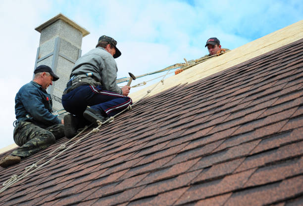 Best Commercial Roofing Services  in Collinsvle, IL