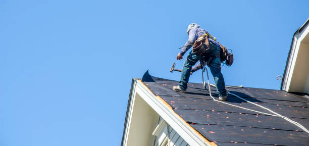 Best Gutter Installation and Roofing  in Collinsvle, IL